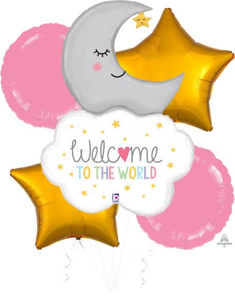 Welcome To The World Pink Bouquet