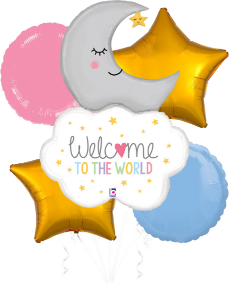 Welcome To The World Bouquet (Pink & Blue)